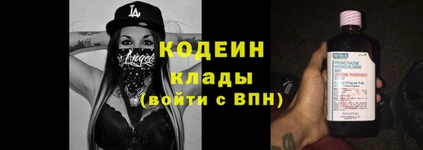 мдпв Киреевск