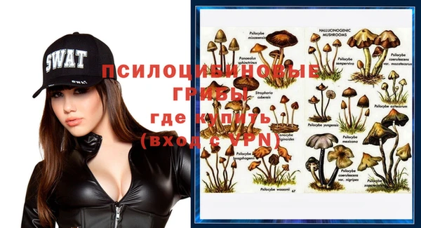прущий лед Киренск