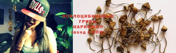 ГАЛЛЮЦИНОГЕННЫЕ ГРИБЫ Кинешма